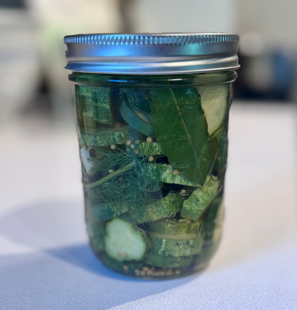 Refrigerator Pickles